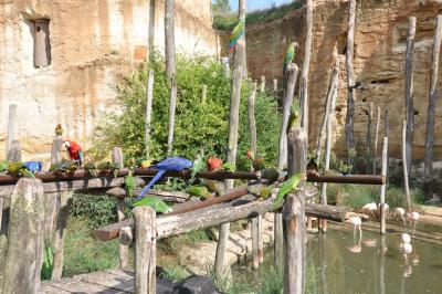 La volière sud-américaine - 2014