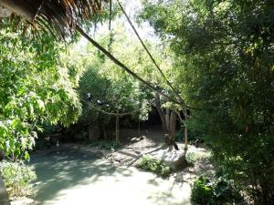 Le sanctuaire des okapis