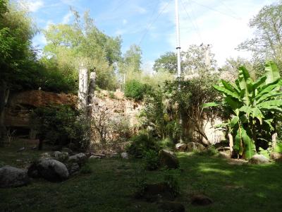 Volière européenne - 2014