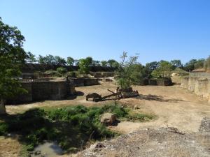 Vallée des rhinocéros