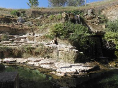 La volière sud-américaine - 2014