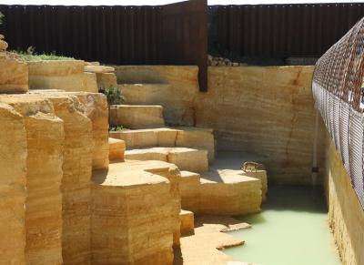 Panthére des neiges - 2014