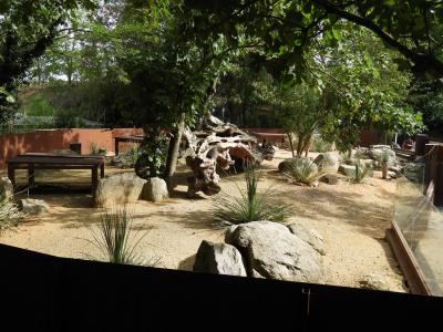 Mangouste naine - Tortue léopard - 2014