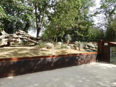 Mangouste naine - Tortue léopard - 2014