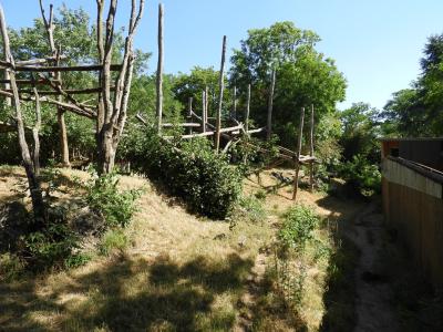 Ours à lunettes - 2014