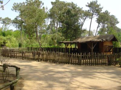 Ferme malgache - 2005