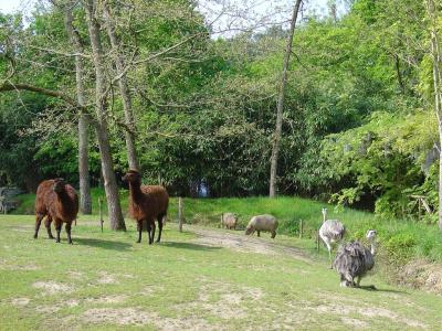 Pampa sud-américaine - 2005