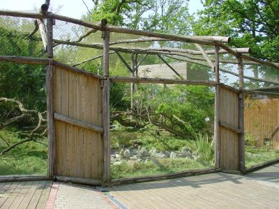 Chat pécheur - 2005