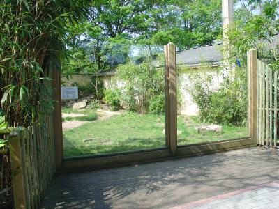 Loup à crinière - 2005