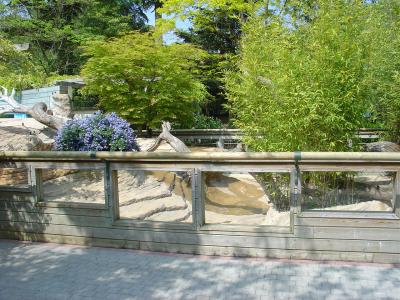 Loutre du Canada - 2005