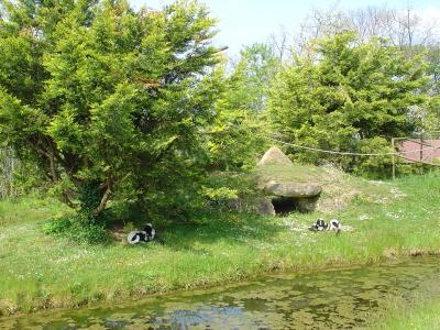 Maki vari noir et blanc - 2005