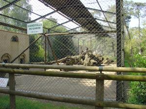 Mandrill