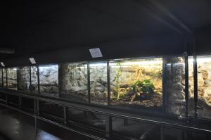 Vivarium