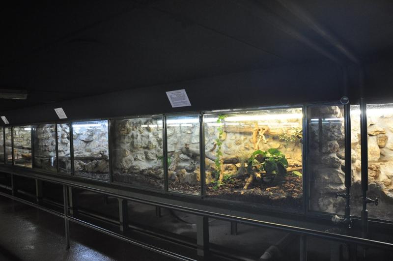 Vivarium