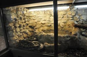 Vivarium