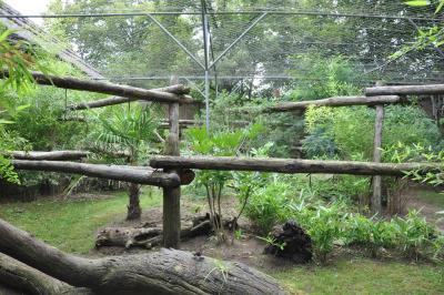 Voliere américaine - 2013