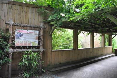 Voliere américaine - 2013