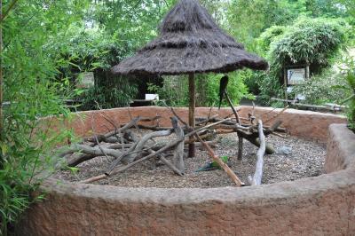 Ara militaire - 2013