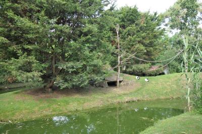 Maki vari noir et blanc - 2013