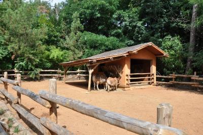 Ferme malgache - 2013