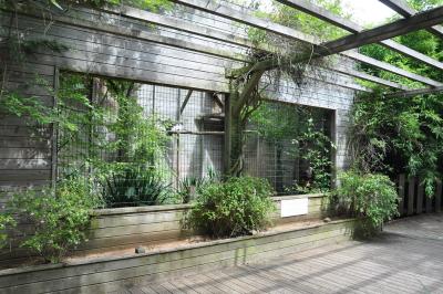 Volieres des rapaces - 2013