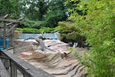 Loutre du Canada - 2013