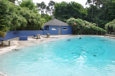 Otarie de Californie - 2013