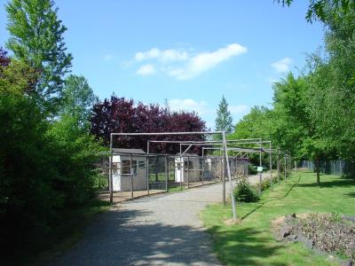 Les petites volières - 2003