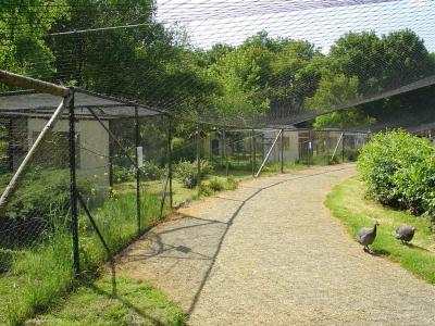 Volière africaine - 2003