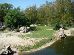 Pampa sud-américaine