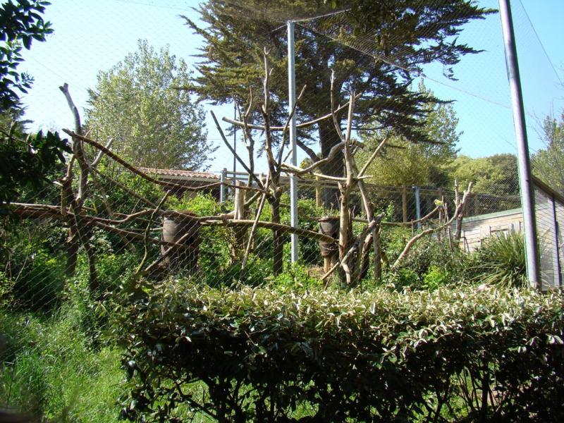 Volière des aras et des ibis