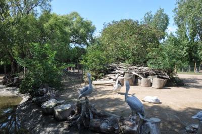 Pampa sud-américaine - 2014