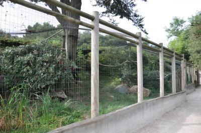 Calao terrestre - 2014