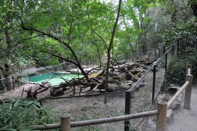 Loutre d'Asie - 2014