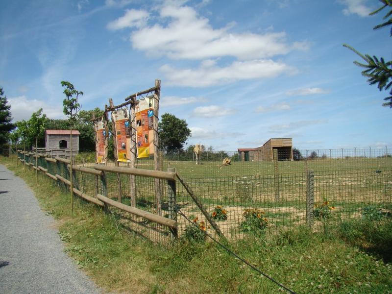 Dromadaire