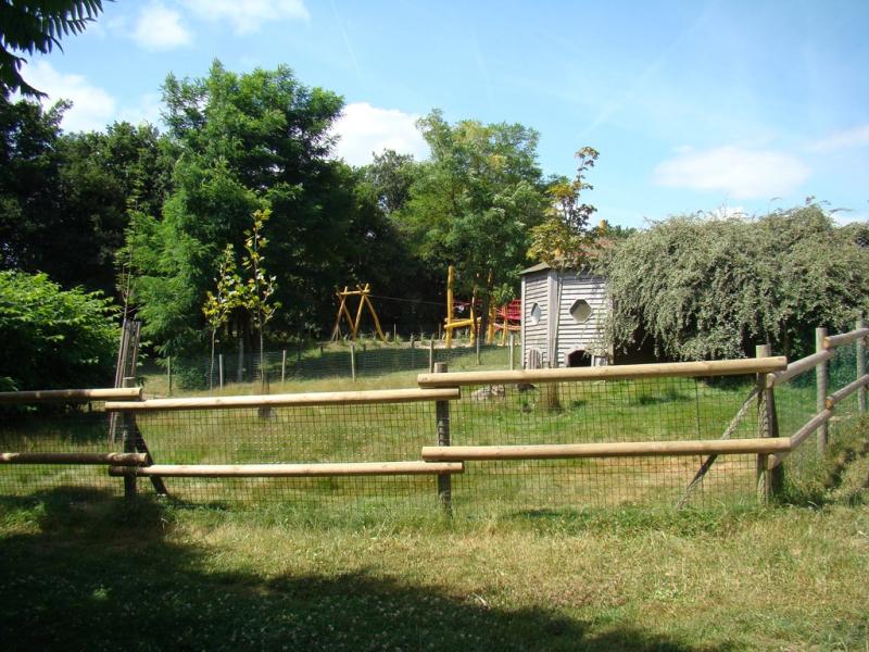 Mara