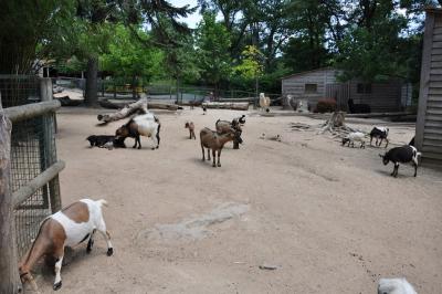La petite ferme - 2012