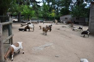 La petite ferme