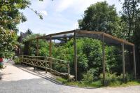 Flamant rose - Ibis sacré - 2012