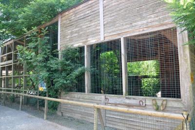 Hibou Grand duc - 2012