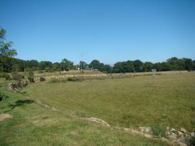 Plaine africaine - 2010