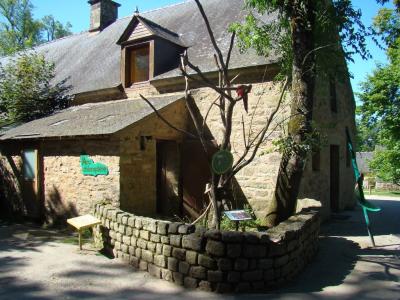 Ara chloroptère - 2010