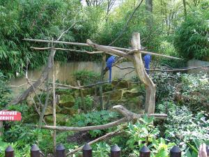 La visite de 2004