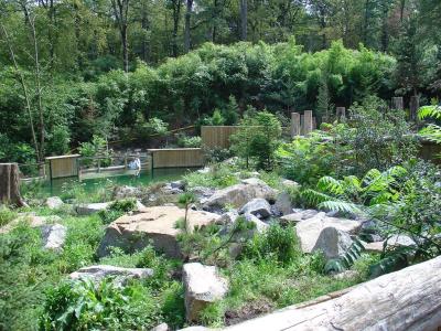 Loutre du Canada - 2004