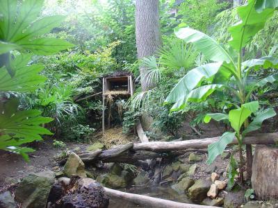 Chat pécheur - 2004