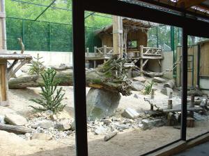 Mandrill