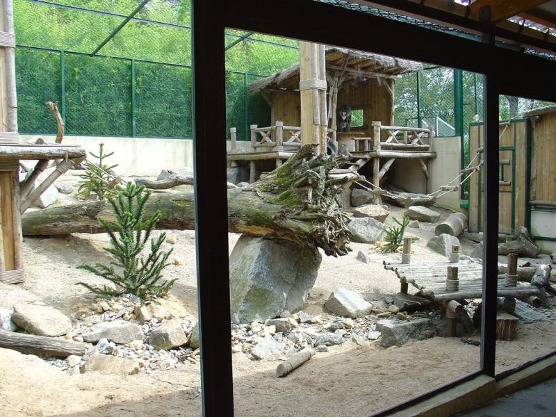 Mandrill