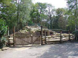 Mouflon à manchettes