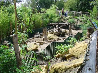 Porc-épic à crête - 2004