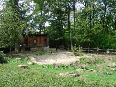 Hyène tachetée - 2004